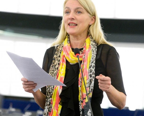 Evelyn Regner im EU-Parlament