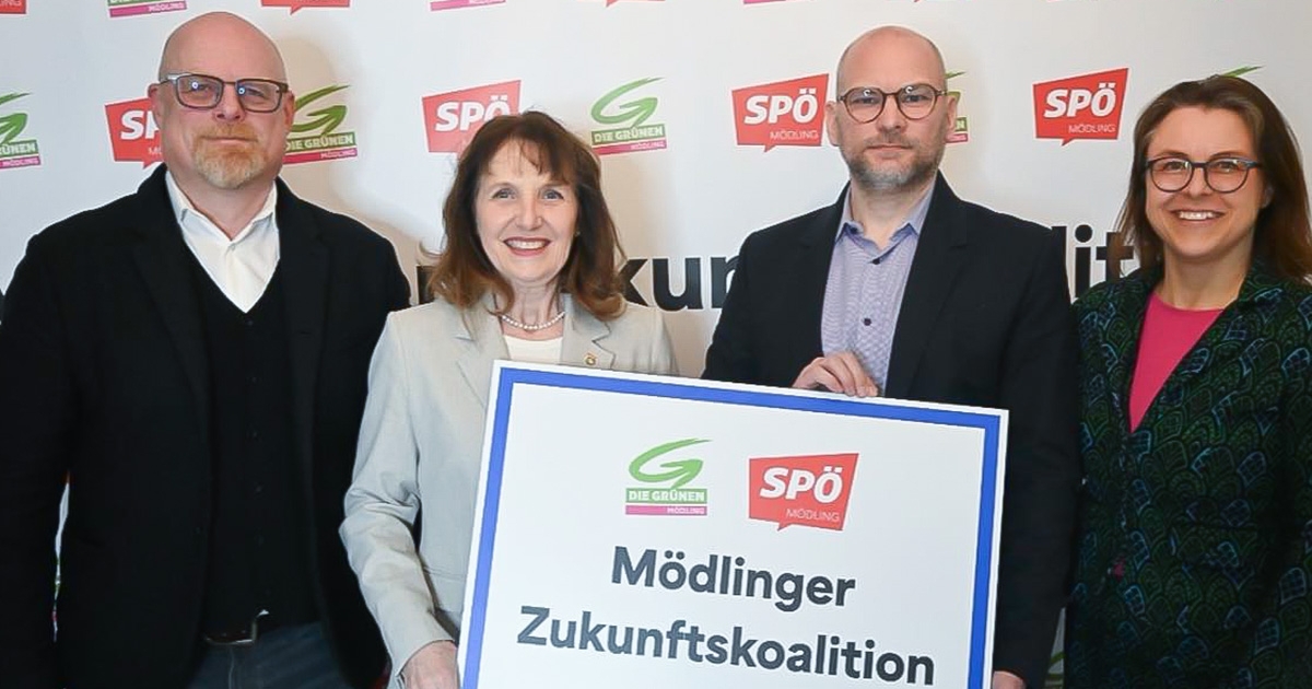 Erste Pressekonferenz Die Grünen und SPÖ Pressekonferenz Die Grünen und SPÖ